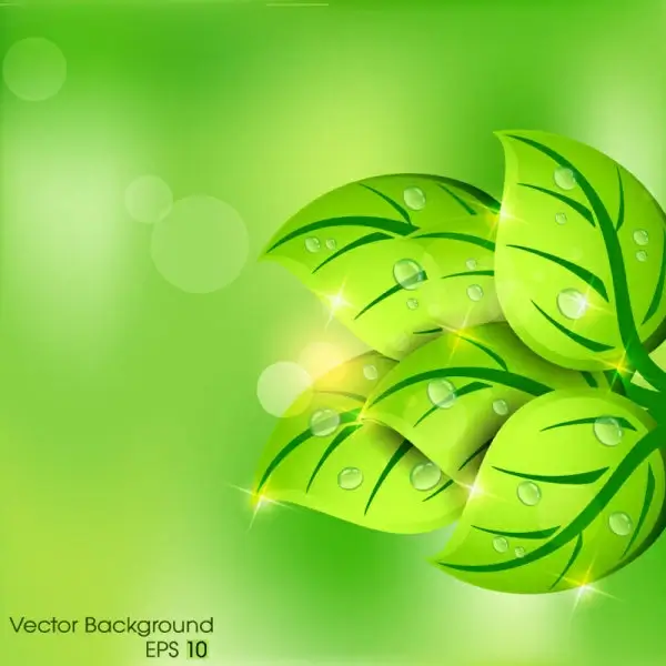 green background with leaves vector 