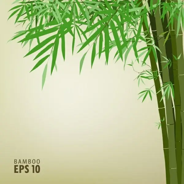 green bamboo background text template vector 2