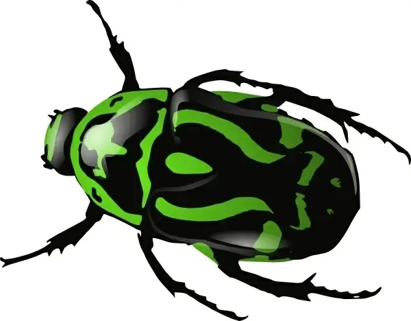 Green Beetle 	 clip art