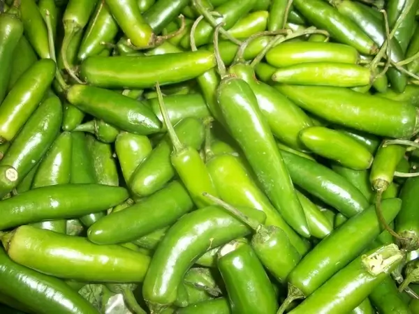 green chili