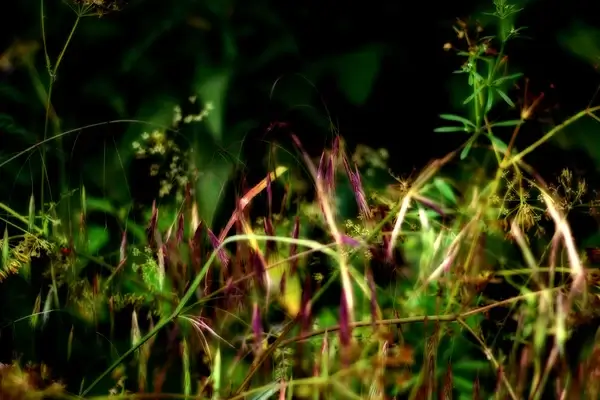 green escape