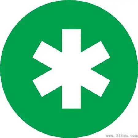 green flag icon vector