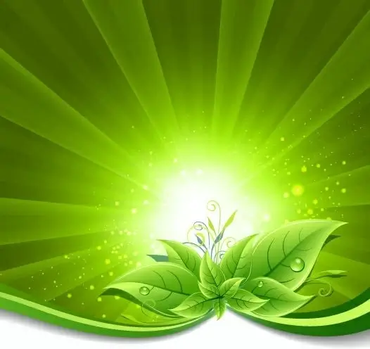 green leaves on burst background vector illustration