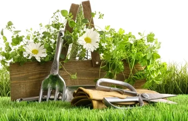 green pastoral theme of highdefinition picture 1