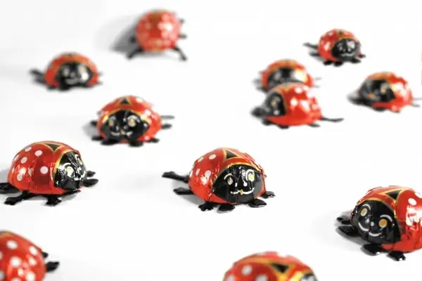 greeting card ladybug luck