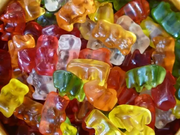 gummi bears fruit gums bear