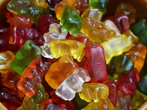 gummi bears fruit gums bear
