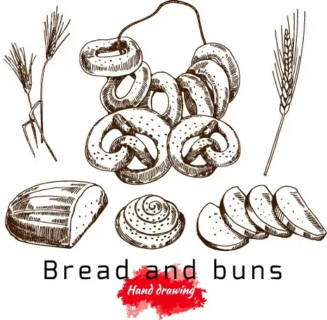 hand drawing bread and buns vector