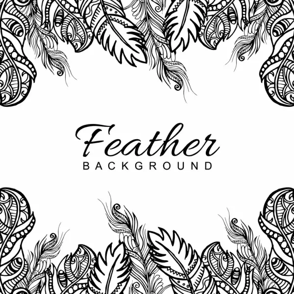 hand drawn black white feather frame background