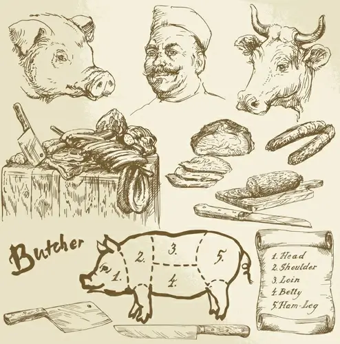 hand drawn butcher elements vector