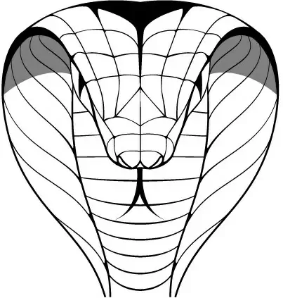 hand drawn cobra design vector