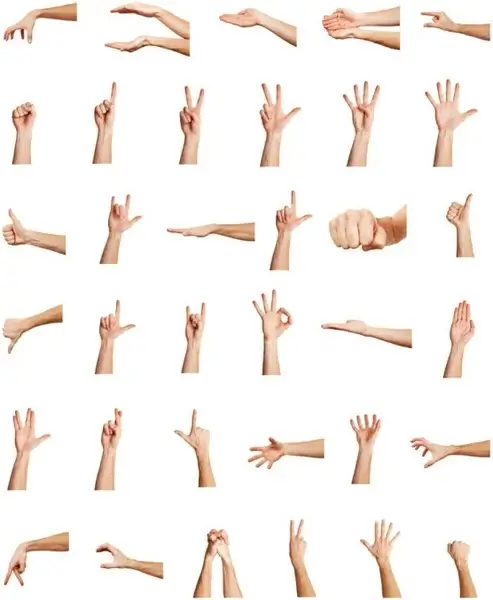 hand posture definition picture 07