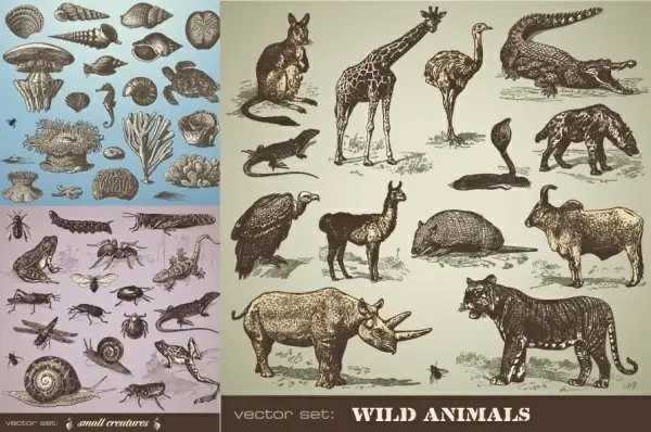 handpainted animals vector