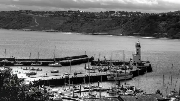 harbor black and white