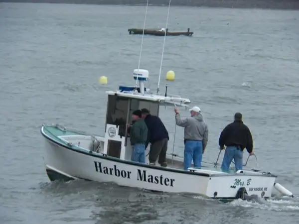 harbor master