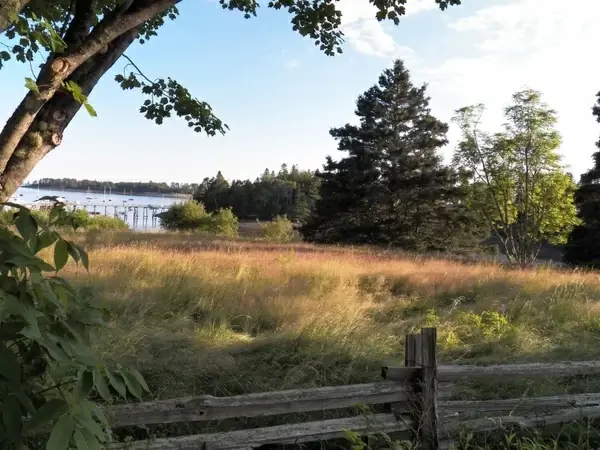 harbor view