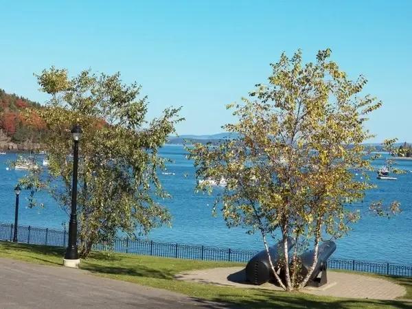 harbor view