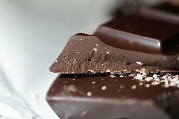 harvey nichols lime amp coconut dark chocolate bar close up