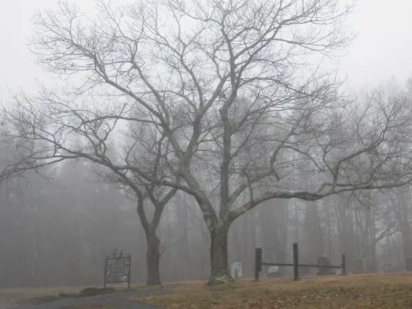 haunted graveyard 1