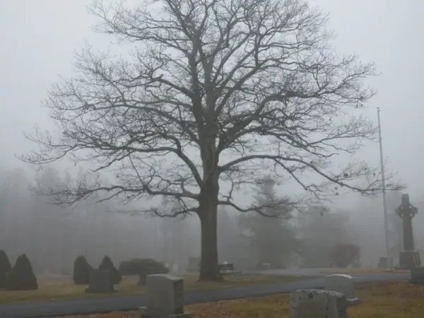 haunted graveyard 2