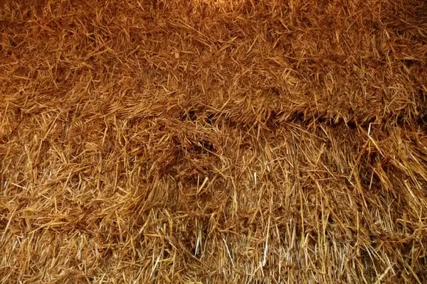 hay straw farm