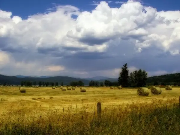 hayfield thunderstorm clouds