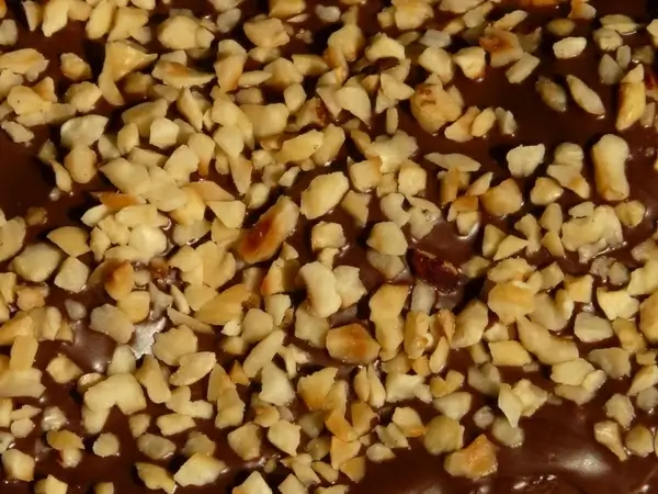 hazelnut cake schokoguss hazelnuts