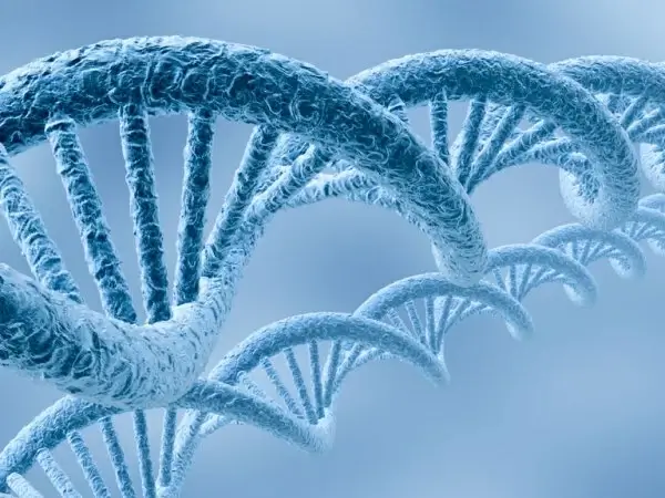 hd cells photo 04 hd picture