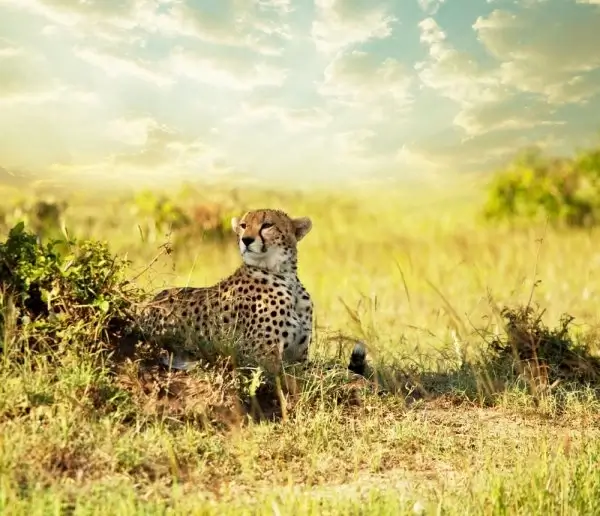 hd picture of the beautiful natural scenery 01