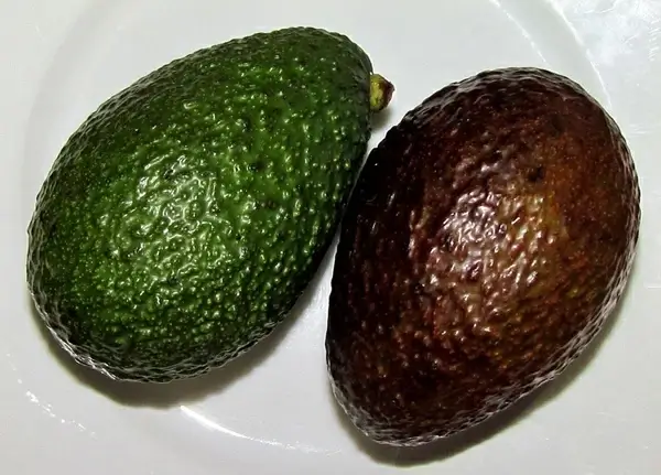 healthy avocado