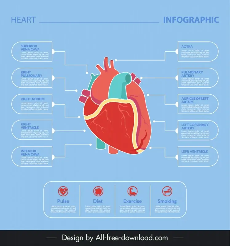 heart infographic design elements flat chart elements