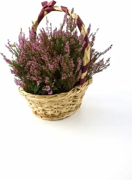 heather basket