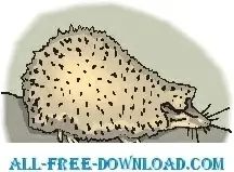 Hedgehog 5