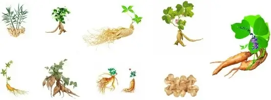 herbal series sd 01