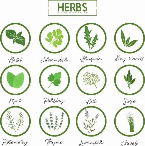 herbs icons collection various green symbols isolation
