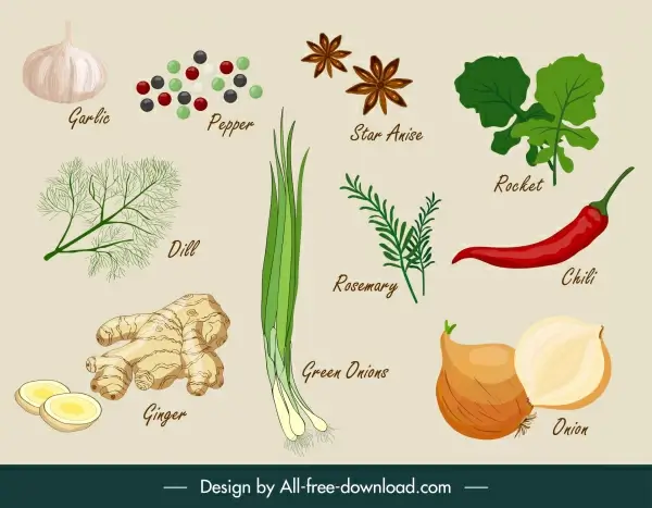 herbs ingredients icons colored classical handdrawn