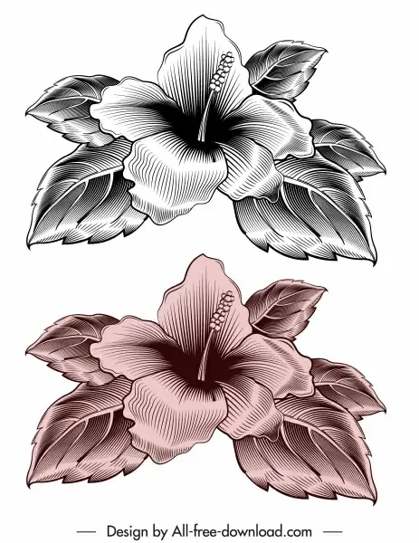 hibiscus flora icon elegant retro sketch