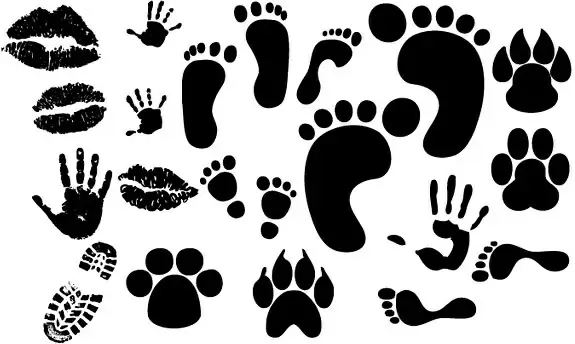 hickey footprints handprint shoe vector