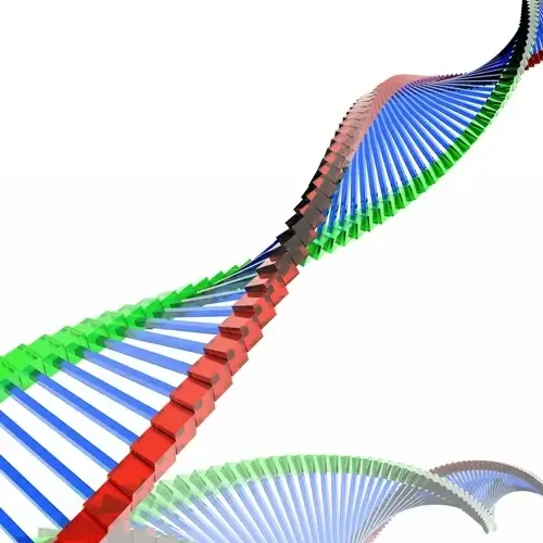 highquality pictures of biological dna