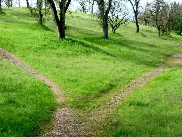 hiking path 599