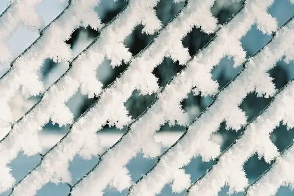 hoarfrost solid precipitation bizarre shapes