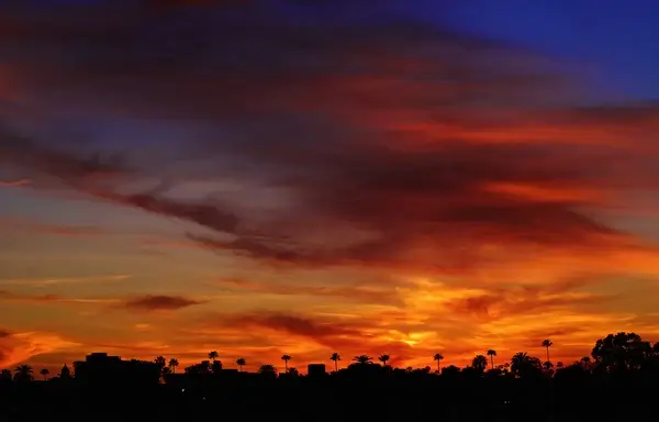 hollywood sunset