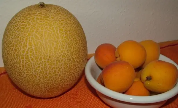 honeydew melon and apricots