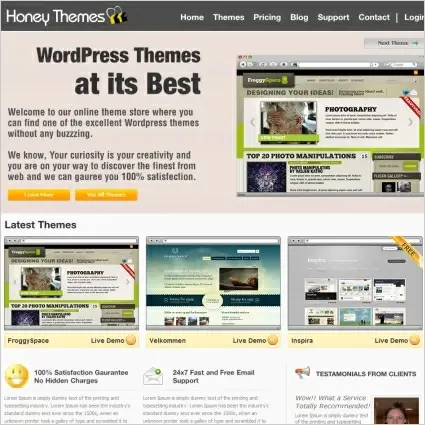 HoneyThemes Template