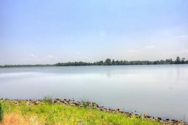 horseshoe lake illinois