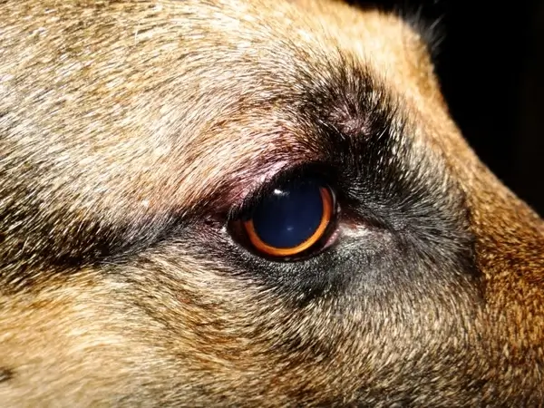 i do see you