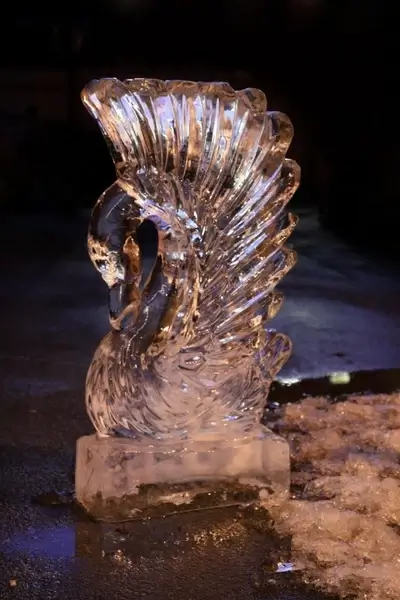 ice swan