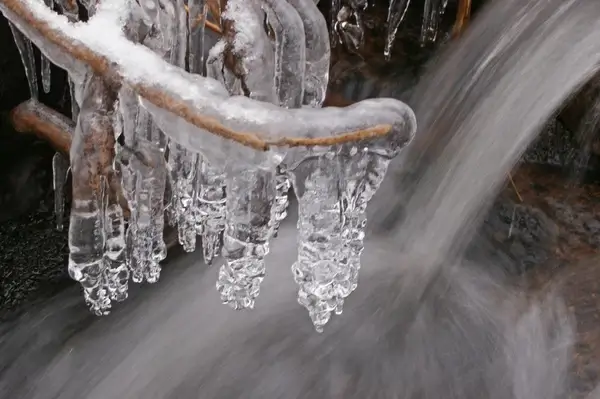icicles