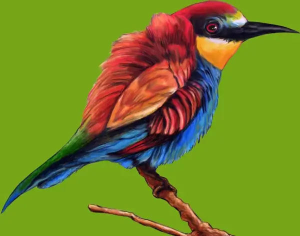 illustration of a beautiful and colorful blue red bird with green background