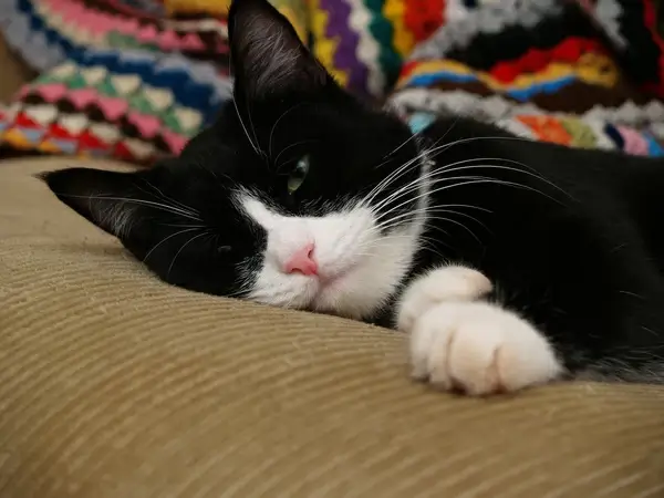 im so sleepy put that camera away